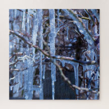 Puzzle de glaçons sur des branches