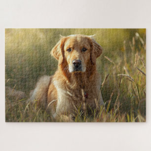 Puzzle de Golden Retriever