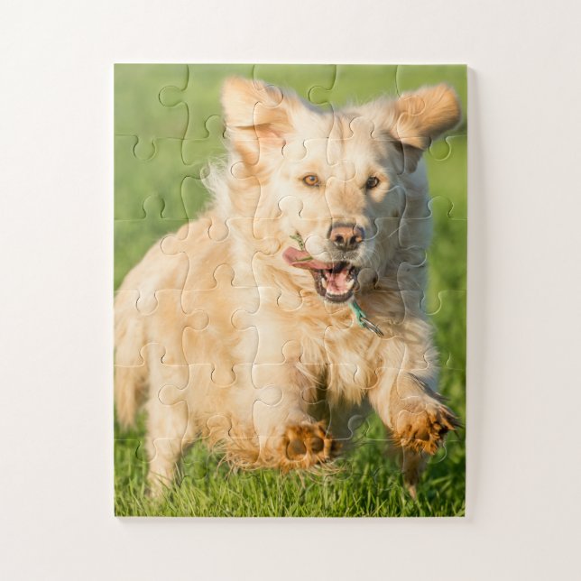 Puzzle de Golden Retriever (Vertical)