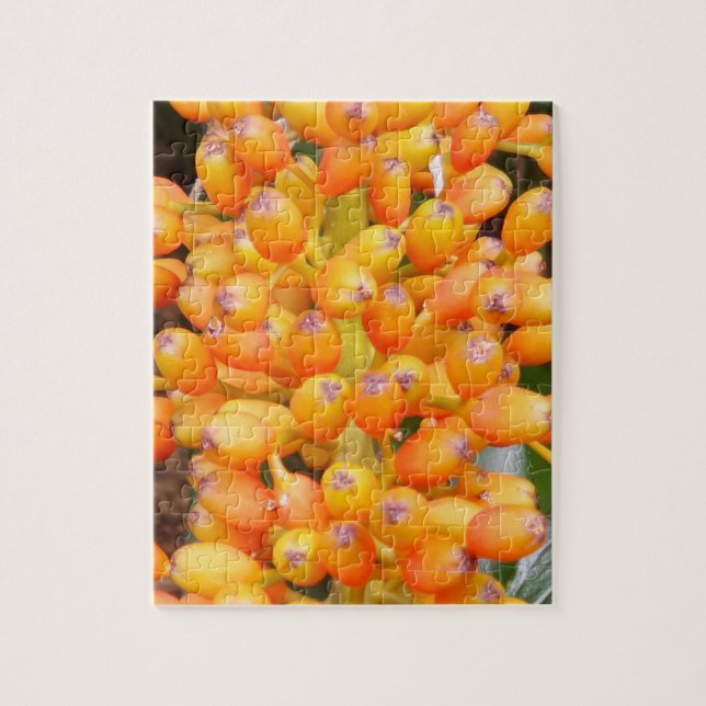 Puzzle de graines de fleurs (Vertical)