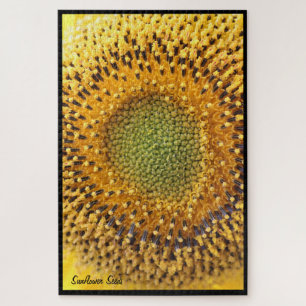 Puzzle de graines de tournesol