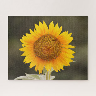 Puzzle de grande fleur de tournesol