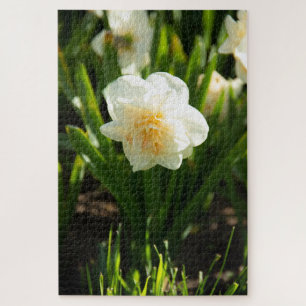 Puzzle De grands jonquilles blancs par un jour de printem