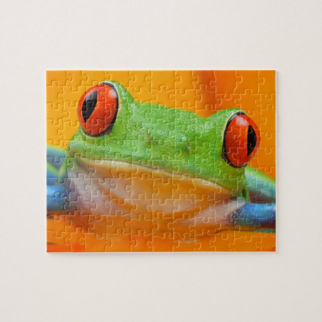 puzzle de grenouille d'arbre de Rouge-oeil (Horizontal)