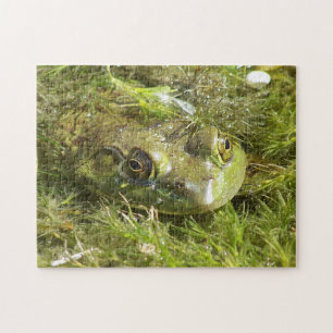 Puzzle de grenouille verte