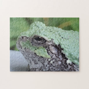 Puzzle de grenouilles d'arbre
