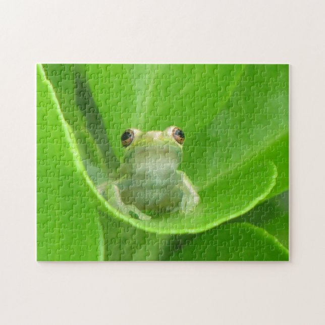 Puzzle de grenouilles d'arbre (Horizontal)