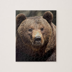PUZZLE DE GRIZZLY BEAR 8X10