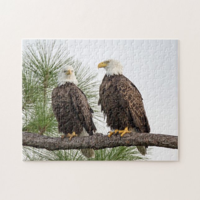 Puzzle de H&O (Horizontal)