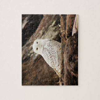 Puzzle de hibou de Milou