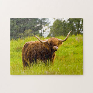 Puzzle de Highland Cow