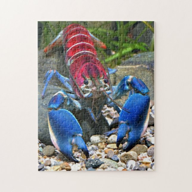 Puzzle de homard bleu griffé (Vertical)