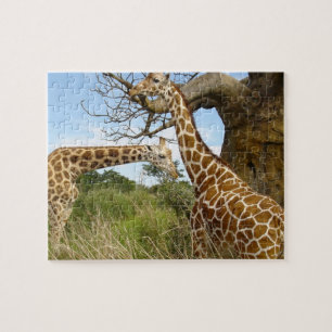 Puzzle de jeu de girafe