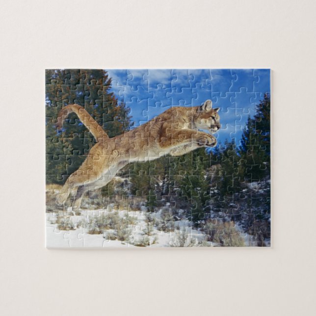 Puzzle de jeu de puma (Horizontal)