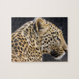 Puzzle de jeu Leopard