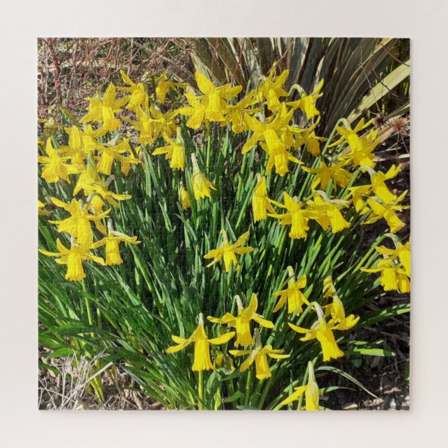 Puzzle de jonquilles jaunes de printemps (Vertical)