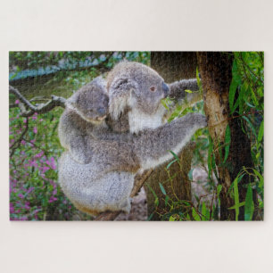 puzzle de koala