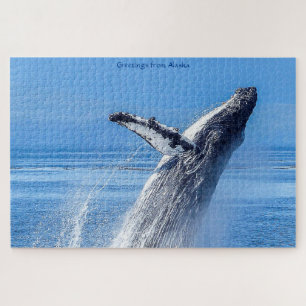 Puzzle de la baleine à bosse d'Alaska