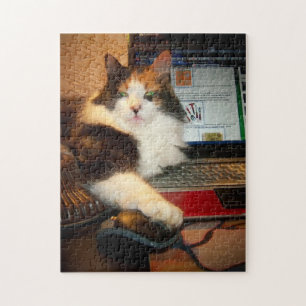 Puzzle de la chatte calicot au clavier
