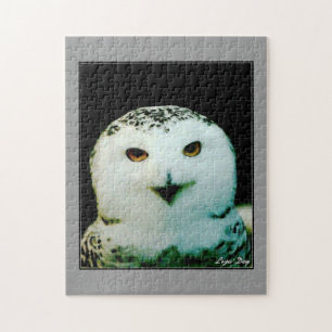 Puzzle de la Chouette Lapone