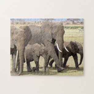Puzzle de la famille des éléphants