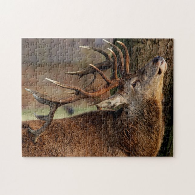 Puzzle de la faune (Horizontal)