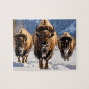 Puzzle de la faune - Buffalo