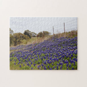Puzzle de la ferme de fleurs bleues du Texas Blueb