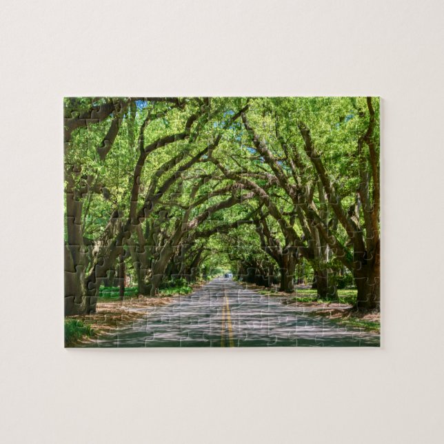 Puzzle de la frontière sud de l'Aiken (Horizontal)