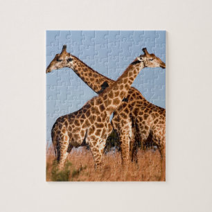 Puzzle de la Girafe