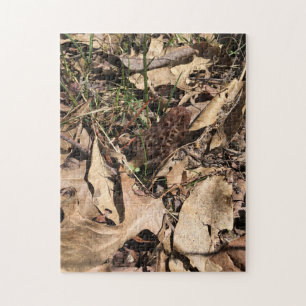 Puzzle de la Morille