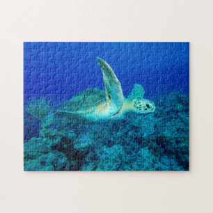 Puzzle de la petite tortue marine