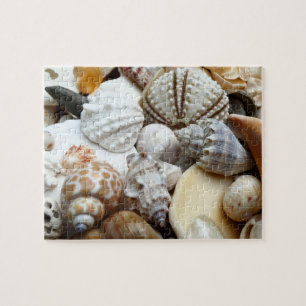 Puzzle de la photographie des coquillages tropicau