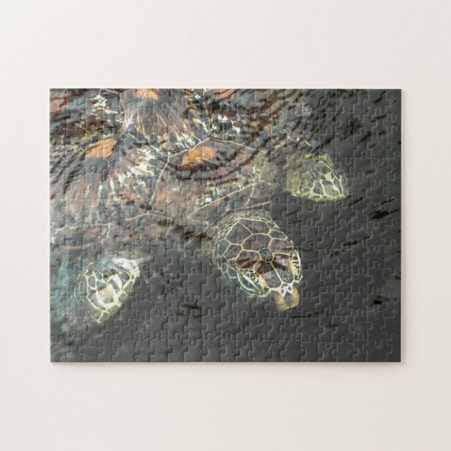 Puzzle de la tortue verte (Horizontal)