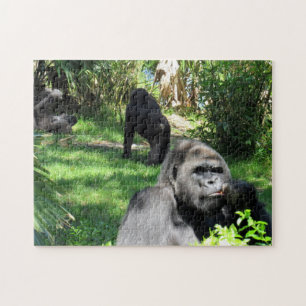 Puzzle de la vie de Gorilla