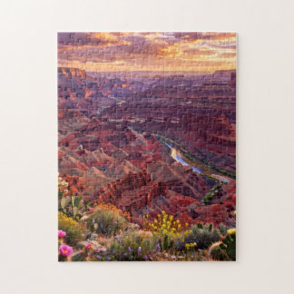 Puzzle de la vue du désert