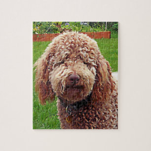 Puzzle de Labradoodle "Stella"