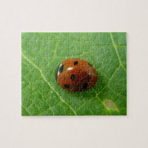 Puzzle de Ladybug