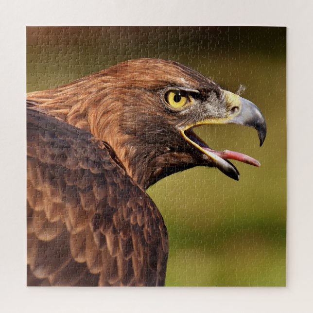 Puzzle de l'aigle (Vertical)