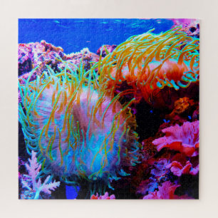 Puzzle de l'Anémones de Mer