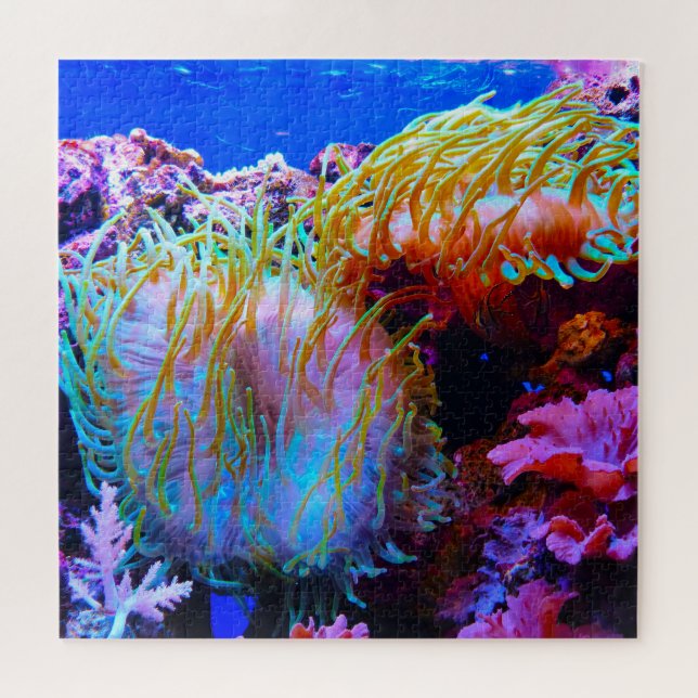 Puzzle de l'Anémones de Mer (Horizontal)