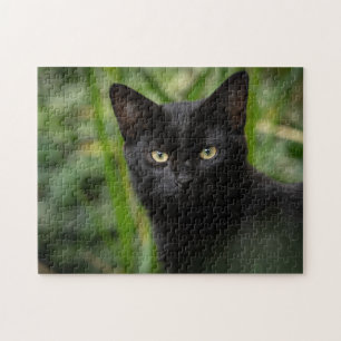Puzzle de l'animal de chat noir