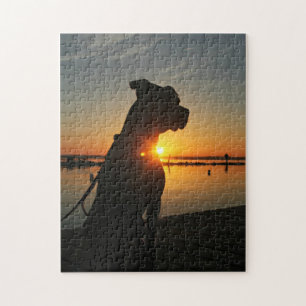Puzzle de lever de soleil de Pitbull