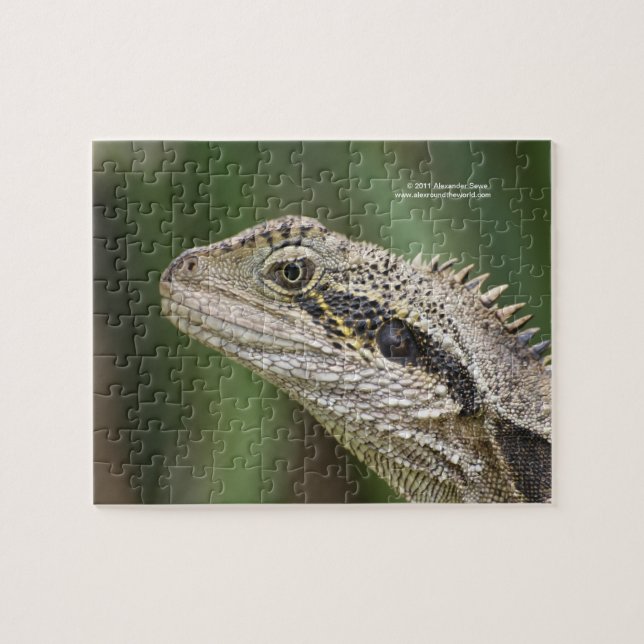 Puzzle de lézard (Horizontal)