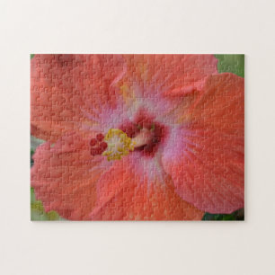 Puzzle de l'Hibiscus Orange