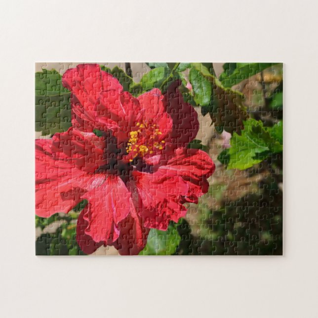 Puzzle de l'Hibiscus rouge (Horizontal)