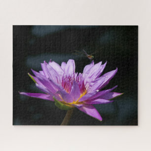 Puzzle de libellule violette Nénuphar