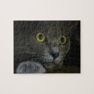 Puzzle de l'intensité