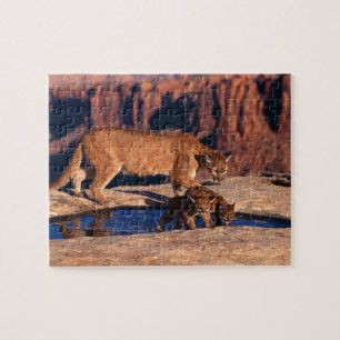 Puzzle de Lion de montagne