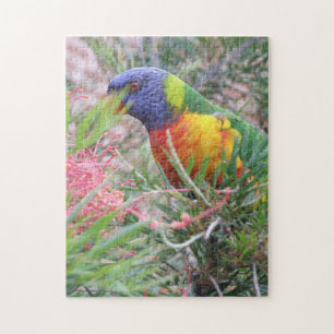 Puzzle de Lorikeet d'arc-en-ciel